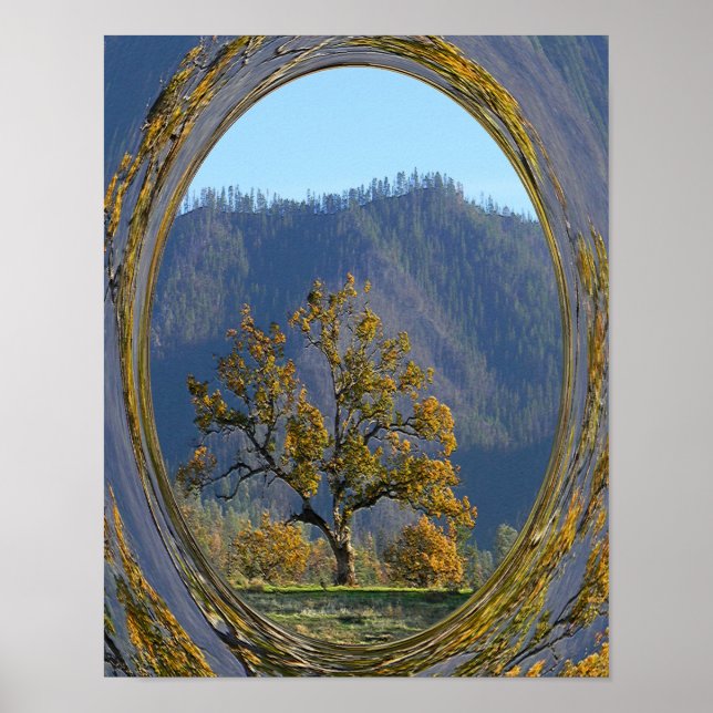 Die alte Eiche...... Poster (Vorne)