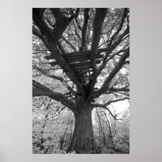 Die alte Festung Poster