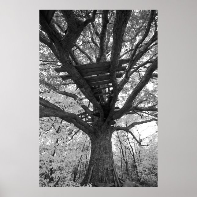 Die alte Festung Poster (Vorne)