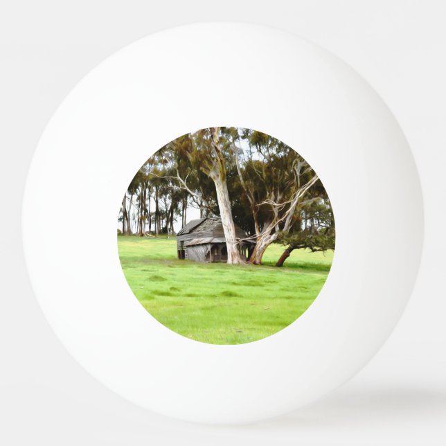 Die alte Holzhütte Tischtennisball (Rückseite)