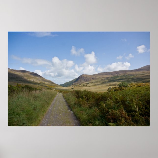 Die alte Straße Kenmare Poster (Vorne)