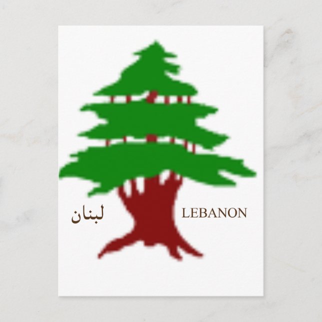 Die alte Zeder des Libanon  Postkarte (Vorderseite)