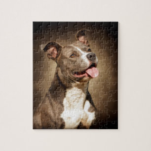 Die amerikanische blaue Pitbull Puzzle