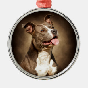 Die amerikanische blaue Pitbull Silbernes Ornament