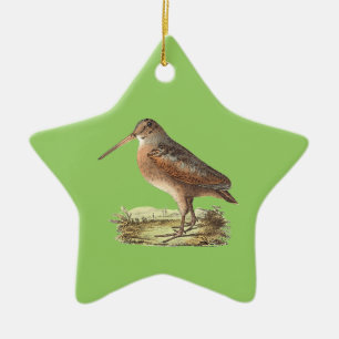 Die amerikanische Waldschnepfe	(Rusticola Keramikornament
