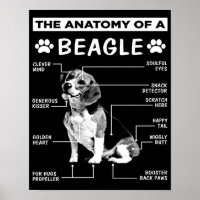 Die Anatomie | Beagle Dog | Fantastischer Hund