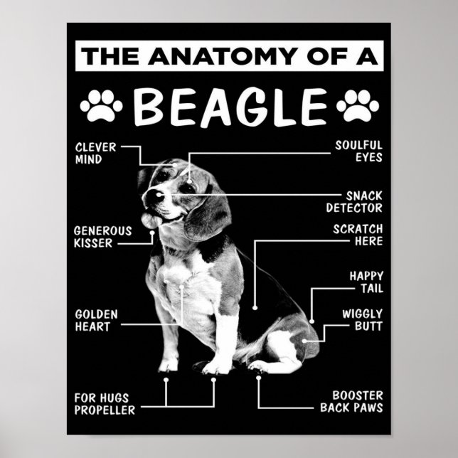 Die Anatomie | Beagle Dog | Fantastischer Hund Poster (Vorne)