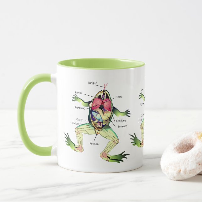 Die Anatomie des Frosches ist grün Tasse (Mit Donut)