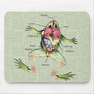 Die Anatomie des Frosches Mousepad