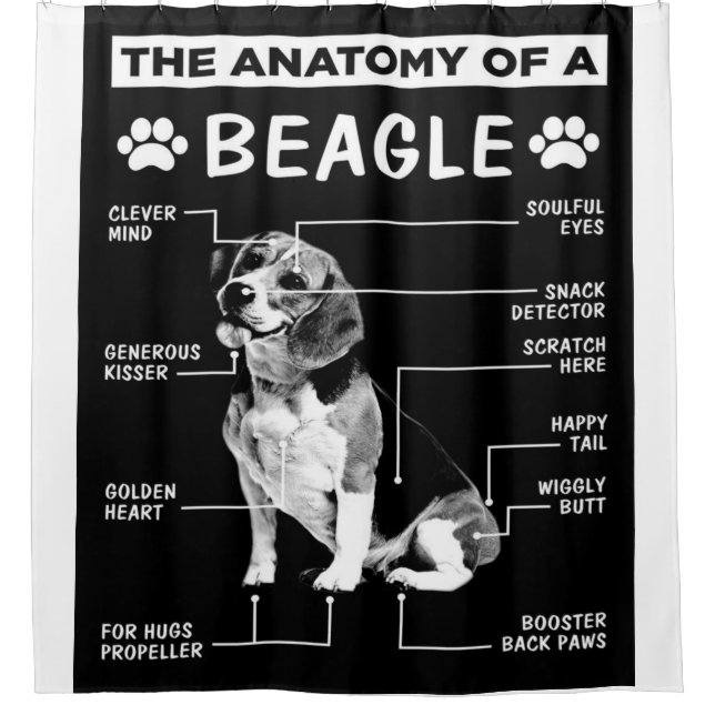 Die Anatomie eines Beagle Hundes Duschvorhang (Vorderseite)
