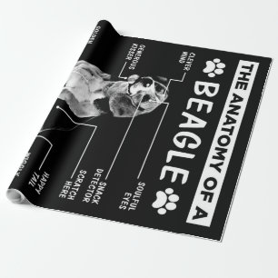 Die Anatomie eines Beagle-Hundes Geschenkpapier