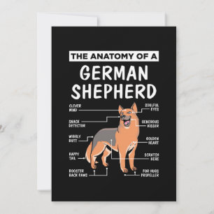 Die Anatomie eines deutschen Schäferhundes Einladung