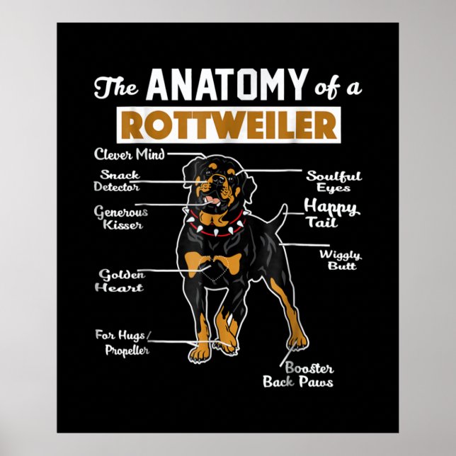 Die Anatomie eines Rottweilers | Cooler Hund Lover Poster (Vorne)
