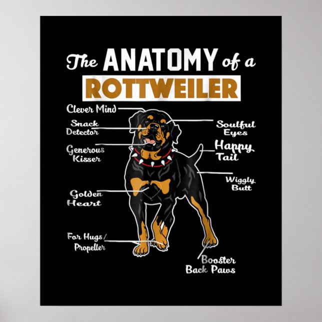 Die Anatomie eines Rottweilers | Cooler Hund Lover Poster (Vorne)