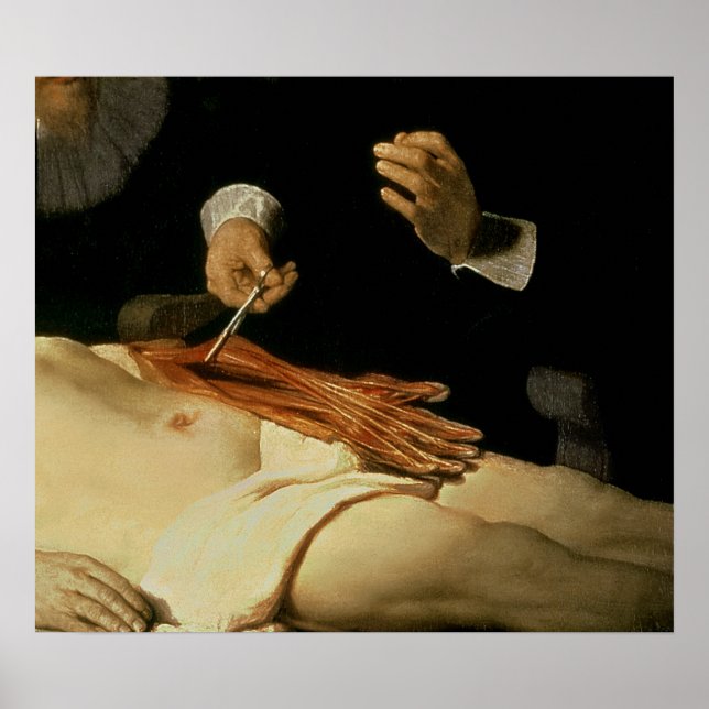 Die Anatomie Lektion von Dr. Nicolaes Tulp, 1632 Poster (Vorne)