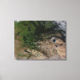 Die Änderung in der Vegetation Leinwanddruck