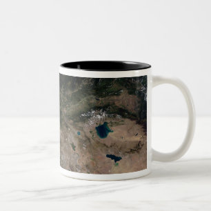 Die Änderung in der Vegetation Zweifarbige Tasse