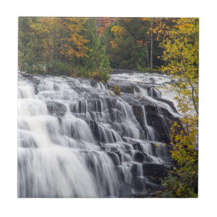 Die Anleihe fällt im Herbst in der Nähe von Paul Fliese