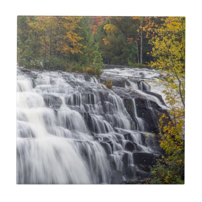 Die Anleihe fällt im Herbst in der Nähe von Pauldi Fliese (Vorderseite)