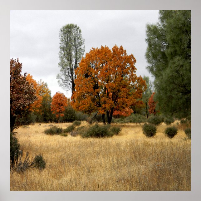 Die Ansammlung... Poster (Vorne)