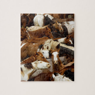 Die Ansammlung Puzzle