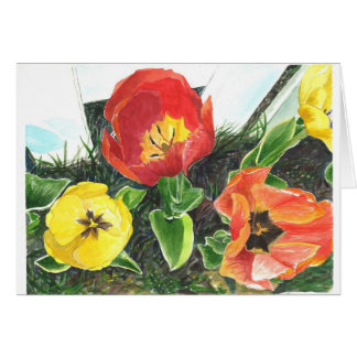 Die Ansicht der Honigbiene der Tulpen des