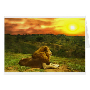 Die Ansicht des Löwes