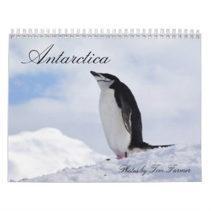 Die Antarktis-Pinguin-Kalender Kalender