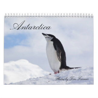 Die Antarktis-Pinguin-Kalender Kalender