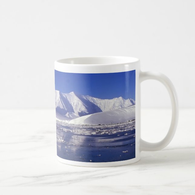 Die Antarktis Tasse (Rechts)