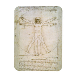 Die Anteile der menschlichen Zahl Magnet