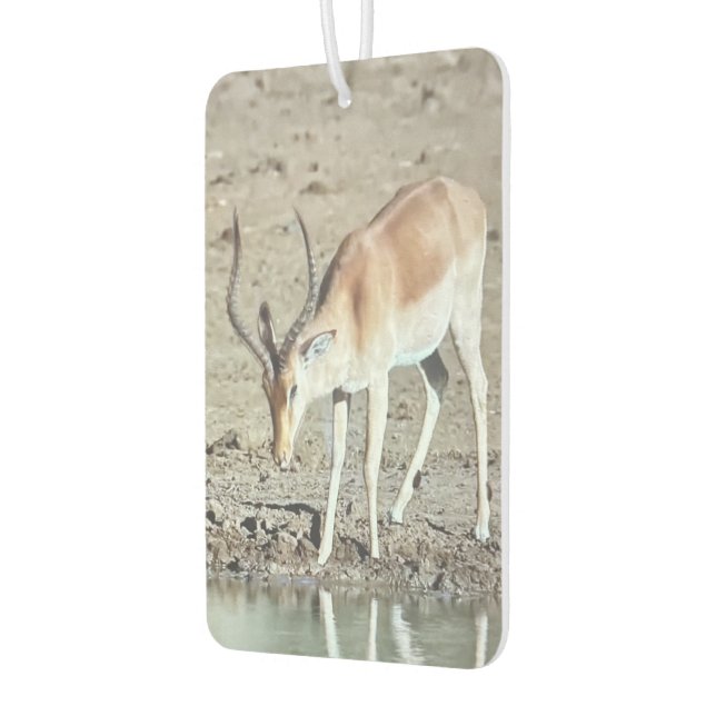 Die Antilope,  Autolufterfrischer (Links)