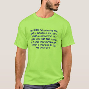 Die Antwort zur Lebenmathegleichung T-Shirt