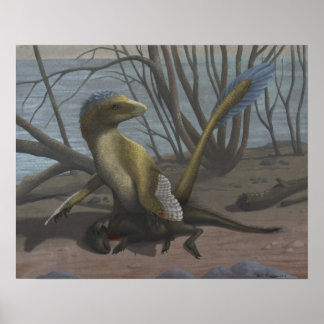 Die Aptische Riverbank-Print Poster