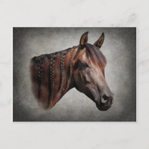 Die arabischen postkarte