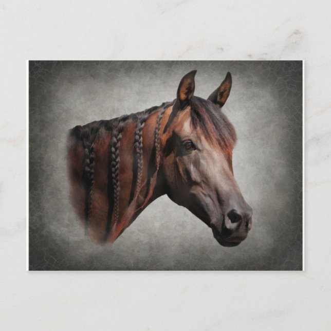 Die arabischen postkarte (Vorderseite)