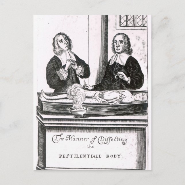 Die Art und Weise, wie der Pestizid-Körper dissekt Postkarte (Vorderseite)