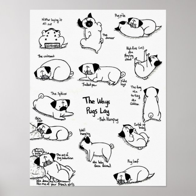 Die Art und Weise, wie die Mops leben Poster (Vorne)