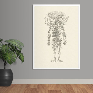 Die Arterien menschliche Anatomie Vintage Poster