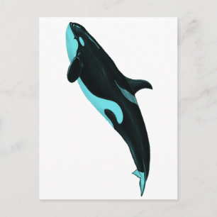 DIE ASCENDENDE ORCA POSTKARTE
