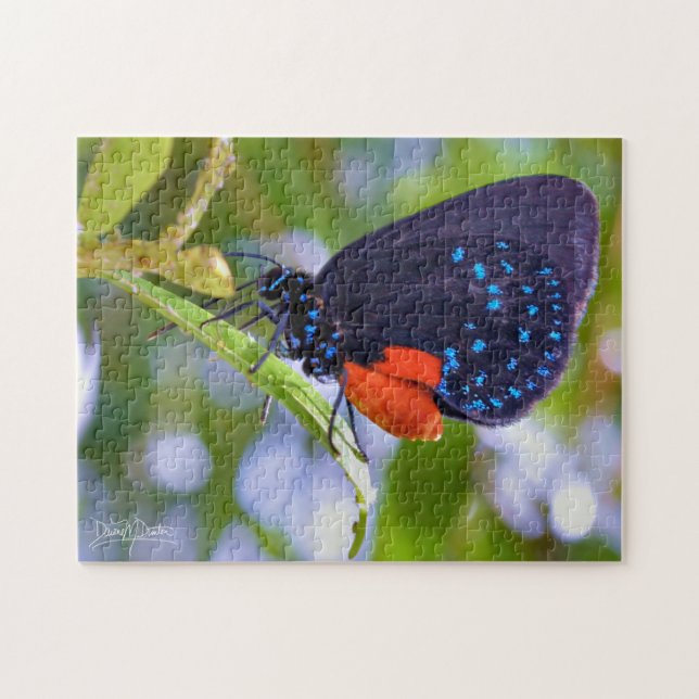 Die Atala Puzzle (Horizontal)