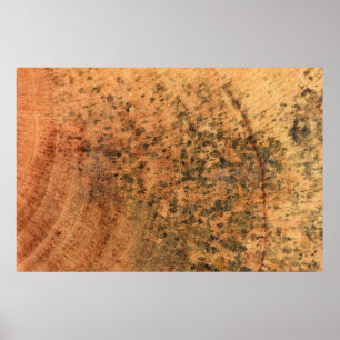 Die auf der braunen Holzoberfläche wachsende Form  Poster