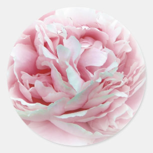 Die Aufkleber für die Hochzeitsstimmung in der Blu