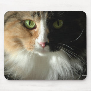 Die Augen der Katze-Mousepad Mousepad