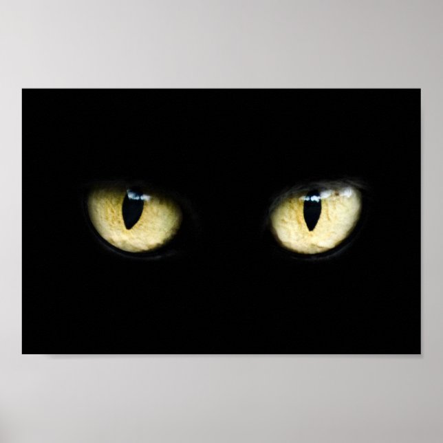 Die Augen der Katze Poster (Vorne)