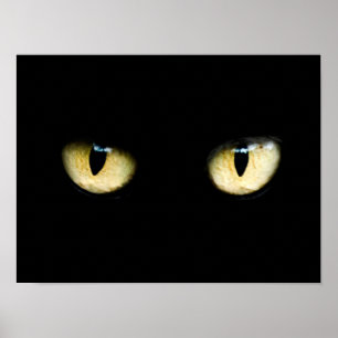 Die Augen der Katze Poster