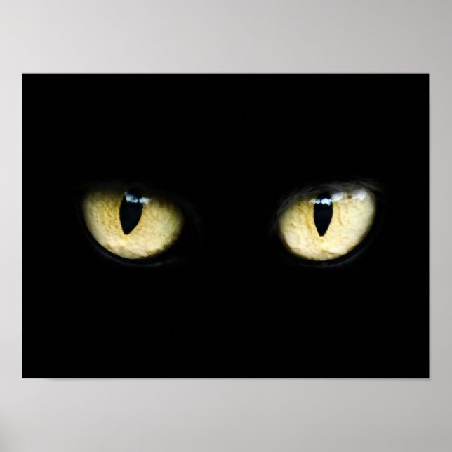 Die Augen der Katze Poster (Vorne)