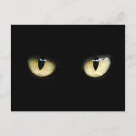 Die Augen der Katze Postkarte
