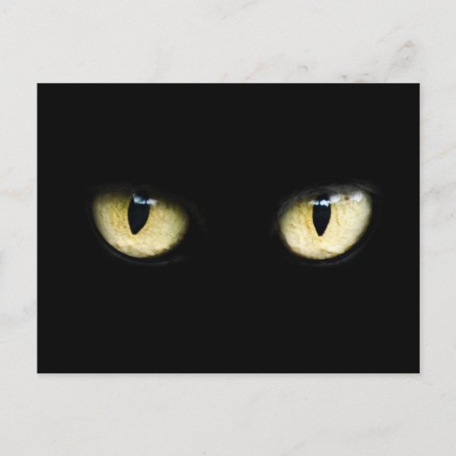 Die Augen der Katze Postkarte (Vorderseite)