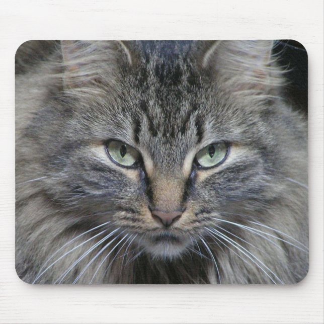 Die Augen der Katzen haben es Mousepad (Vorne)